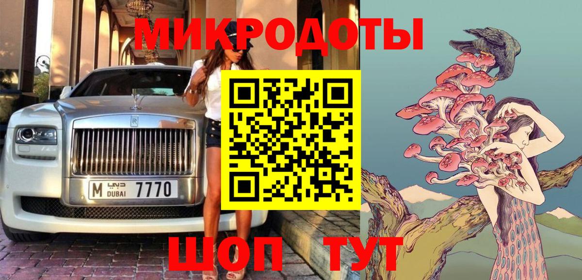 Псилоцибиновые грибы Cubensis Ковров