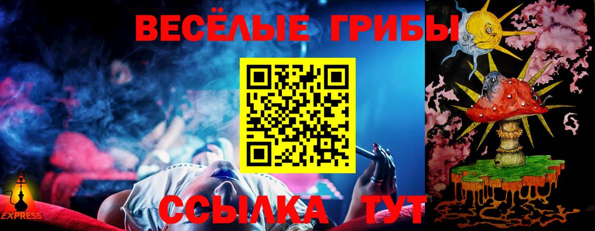 Галлюциногенные грибы Psilocybe  Вход с VPN  закладки  Ковров 